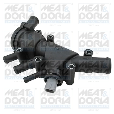 Thermostat, coolant